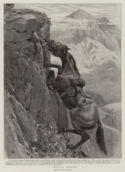 A Perilous Position